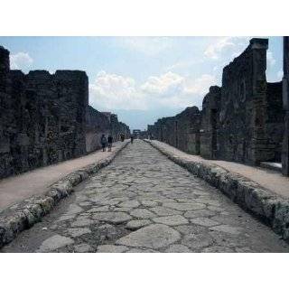 Ancient Roman Street in Pompeii   36W x 27H   Peel and Stick Wall 