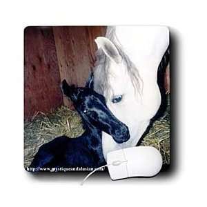  Horse   Andalusian Mare and Foal   Mouse Pads Electronics