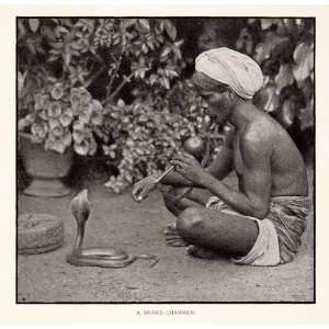 1901 Print Snake Charmer Cobra Sri Lanka Ceylon Pungi Performer Turban 