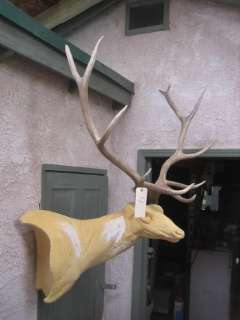 NICE 6x5 Elk Antlers taxidermy deer mule whitetail  