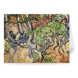 Tree roots, 1890 (oil on canvas) by Vincent   Greeting Card (Pack of 