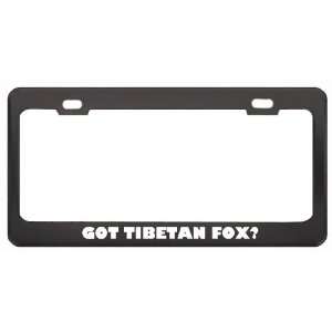 Got Tibetan Fox? Animals Pets Black Metal License Plate Frame Holder 