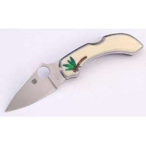  Spyderco C28P Dragonfly CUSTOM Bamboo Opal Pocket Knife 