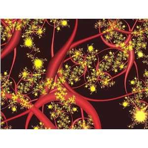 Fireworks (Canvas) by Vicky Brago Mitchell. size 38 inches width by 