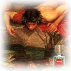  Narcissus Pure Indian Attar Oil 