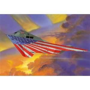   Nighthawk Stars & Stripes US AF Stealth Aircraft Kit Toys & Games