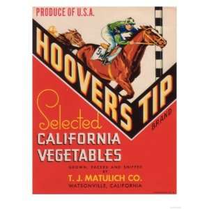 Hoovers Tip Vegetable Label   Watsonville, CA Premium Poster Print 