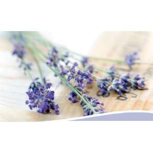  Salt City Lavender Vanilla Melter Tiles Health & Personal 