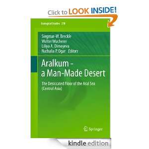 Aralkum   a Man Made Desert The Desiccated Floor of the Aral Sea 