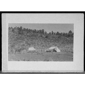  Carriage,wagon,tent,possibly reenactment of pioneer or 