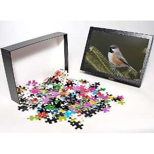   Puzzle of Boreal Chickadee from Ardea Wildlife Pets Toys & Games