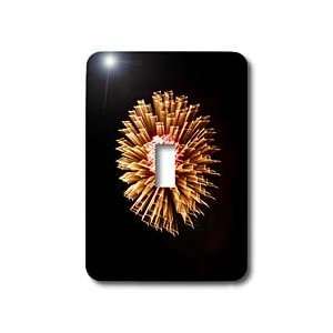  Florene Fireworks   Electric Kiss   Light Switch Covers 
