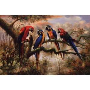 Macaw Morning by Frederick Charles 36x24 
