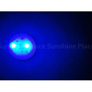  Submersible Floralyte Ii with 2 Leds Tea Lights  Blue 