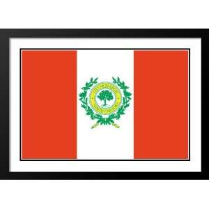  Raleigh, North Carolina Flag Wood 25x29 Framed and Double 