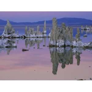  Tufa Towers Reflected in the Still Water of Mono Lake 
