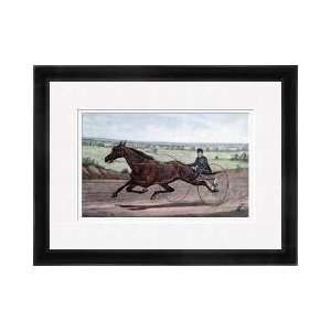  Queen Of The Turf Maud S Driven By Ww Bair Framed Giclee 