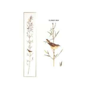  Sedge Warbler Counted Cross Stitch Kit Arts, Crafts 