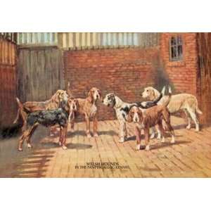  Exclusive By Buyenlarge Welsh Hounds 24x36 Giclee