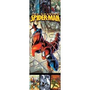  Spider Man   Door Posters   Movie   Tv