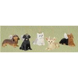  Pack of 10 Pet Keepsakes Assorted Puppy Dog Angel 
