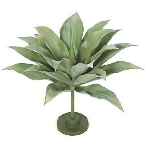  Autograph Foliages AUV 102190 29.5 in. Agave Base Plant 
