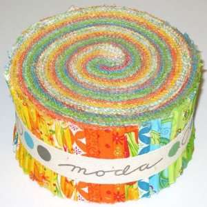  Moda Fresh 2 1/2 Jelly Roll Fabric By The Each Arts 