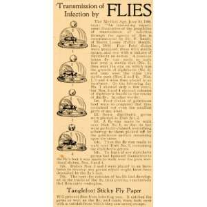   Fly Paper Infection Bug Trap   Original Print Ad