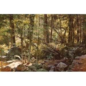 Jerome Grimmer 36W by 24H  Sunlit Forest (Yosemite) CANVAS Edge #6 