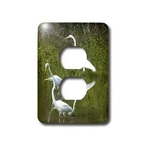 Florene Birds   Snowy Egrets   Light Switch Covers   2 plug outlet 