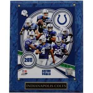  Indianapolis Colts 10.5 x 13 2011 Team Composite 