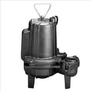  Cast Iron Heavy Duty Commercial Sewage Pump