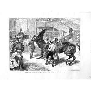   1872 Rome Italy Carnival Races Barberi Horses Soldiers