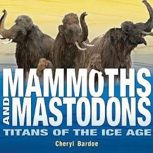      [MAMMOTHS & MASTODONS] [Hardcover] Cheryl(Author) Bardoe Books