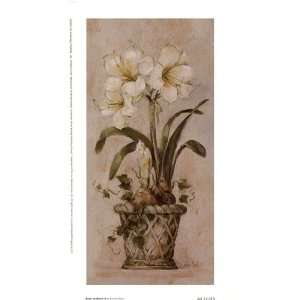  Barbara Mock Bulbs In Bloom ll 5x9 Poster Print