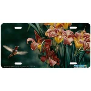 3525 Brand New Day Hummingbird License Plates Car Auto Novelty Front 