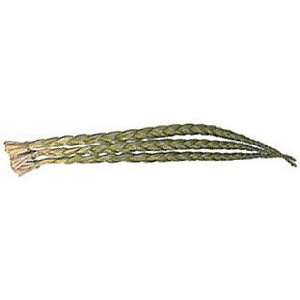  Sweetgrass Braid   24 Inches or Longer   Native Scents 