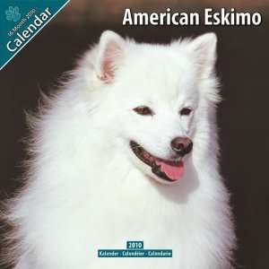  American Eskimo 2010 Wall Calendar 12 X 12 Office 