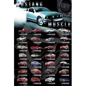  Car Posters Ford Mustang   Compilation Poster   91.5x61cm 