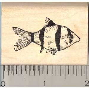 Tiger Barb Fish Rubber Stamp Arts, Crafts & Sewing