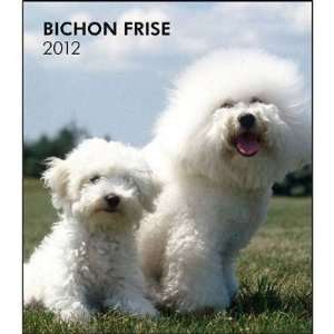  Bichon Frise 2012 Hardcover Engagement Calendar Office 