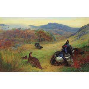 FRAMED oil paintings   Archibald Thorburn   24 x 14 inches   Blackcock 