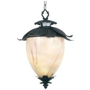    Kenroy Home 70253OBZ Azalea Large Hanging Lantern