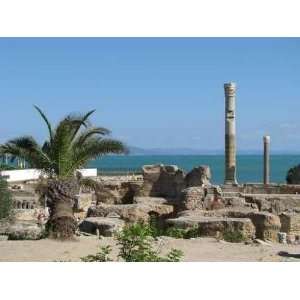  Therme Dantonin à Carthage   Peel and Stick Wall Decal 