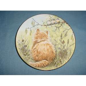  Birdwatcher from Kitten Classics Plate Collection 
