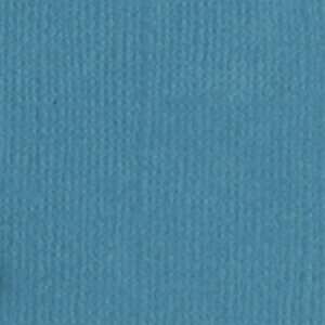  Lakeshore Canvas 12 X 12 Bazzill Cardstock (Blue) Arts 