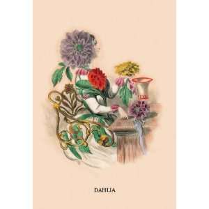  Exclusive By Buyenlarge Dahlia 20x30 poster