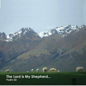  Sticky Notes   The Lord is My Shepherd   Pad of 50 Case 