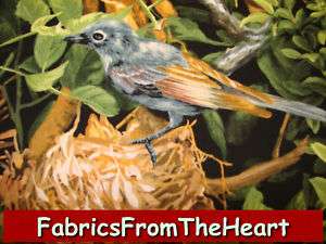 Forest Secrets Birds w Nest Scenic Trees YDS Fabric  