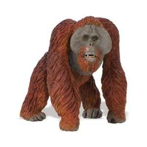  Bornean Orangutan (Wildlife Wonders) Toys & Games